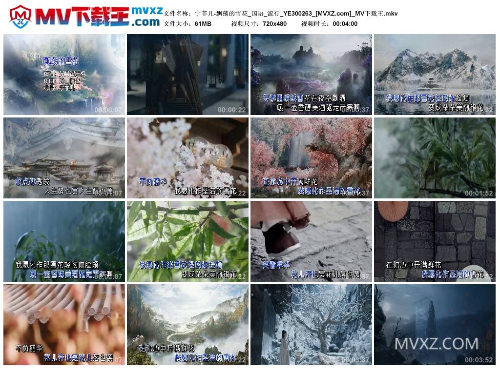 宁菲儿-飘荡的雪花_国语_流行_YE300263